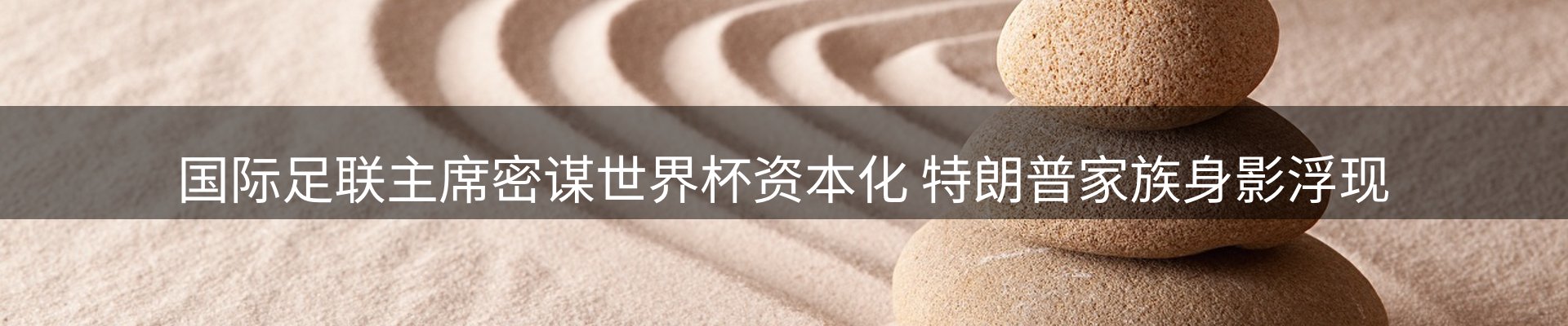 平台视角