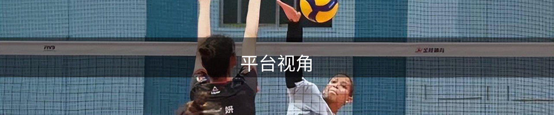 平台视角