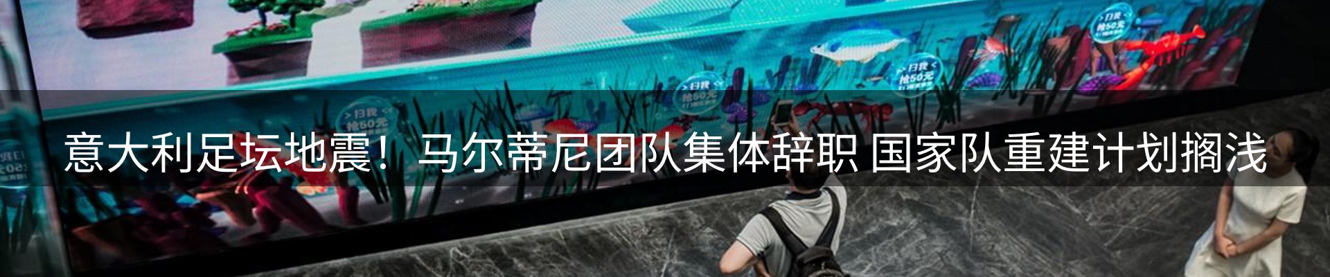 平台视角