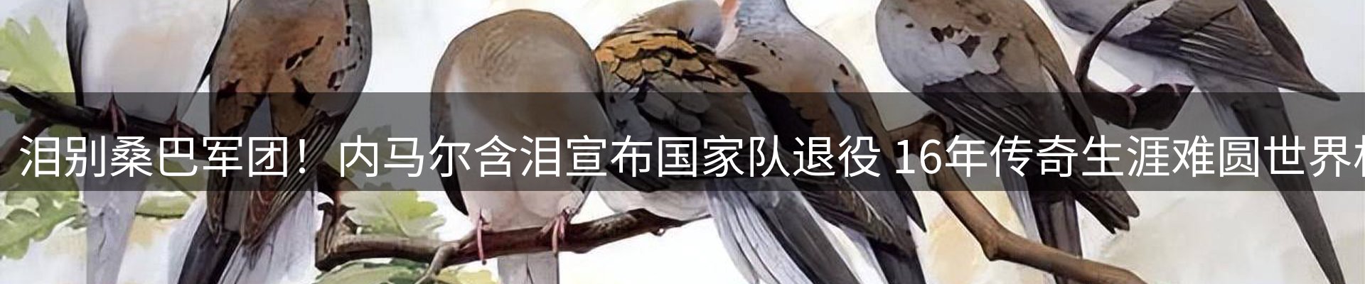 平台视角