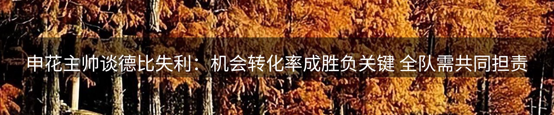 平台视角