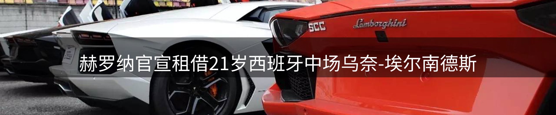 平台视角