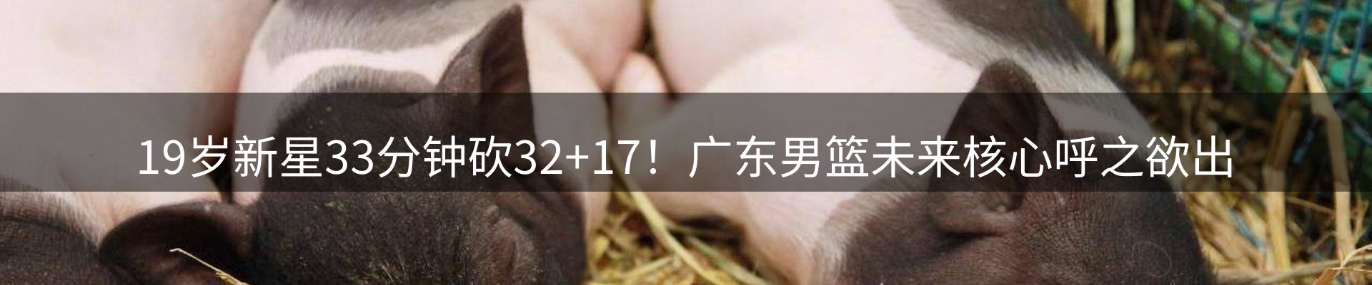 平台视角
