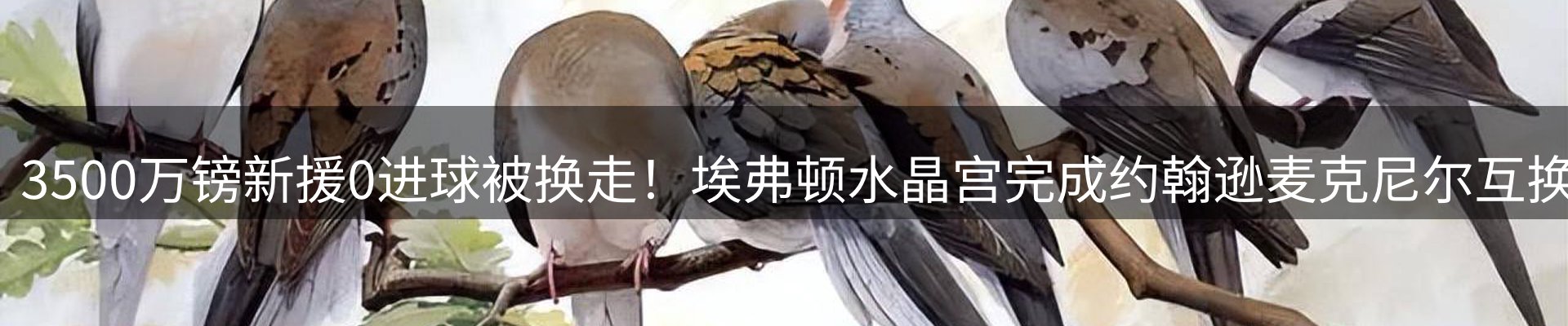 平台视角